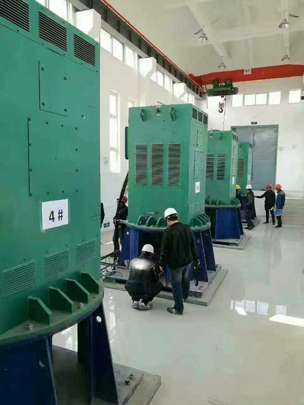 金川某污水处理厂使用我厂的立式高压电机安装现场